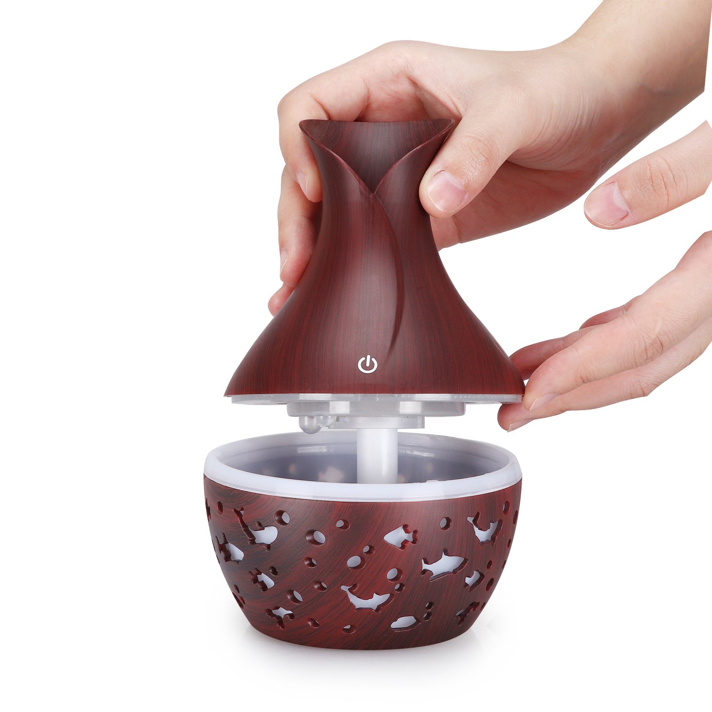 The Blossom Mist Petal Humidifier